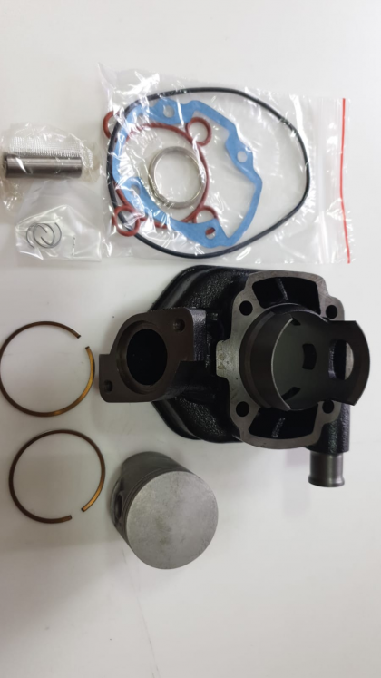 TAIWAN  Set motor Peugeot SpeedFight D47 TW